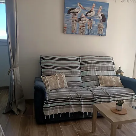 Apartment Renove Pour 4 Pers A 150m De La Avec Terrasse Et Parking - - Fr-1-799-34 Le Barcares